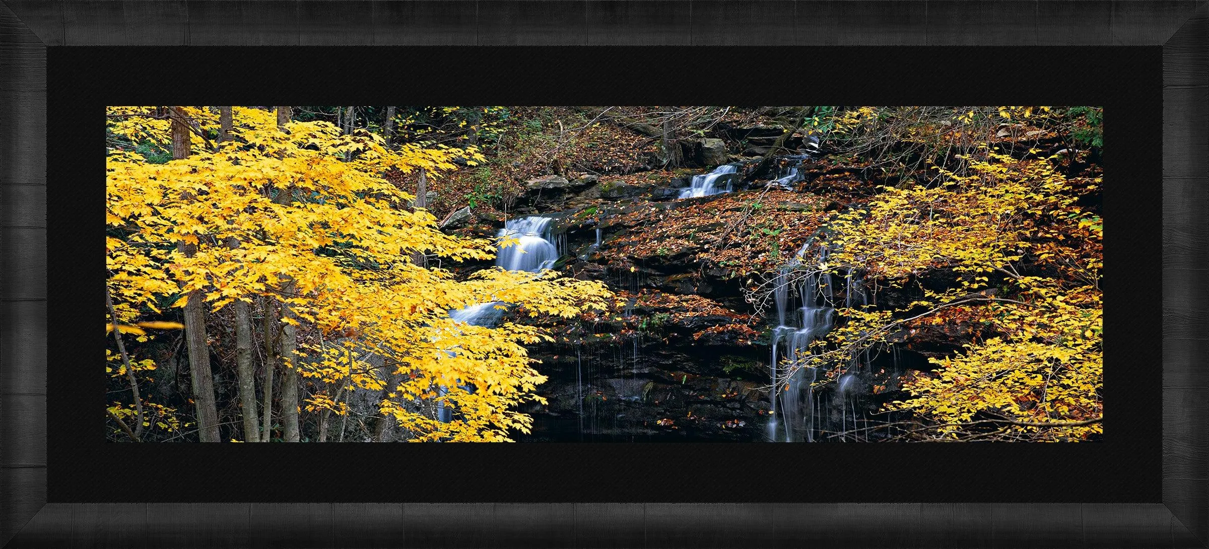 Autumn Terrace