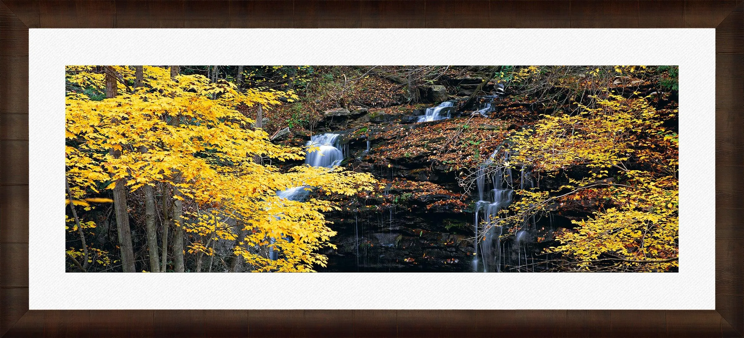 Autumn Terrace