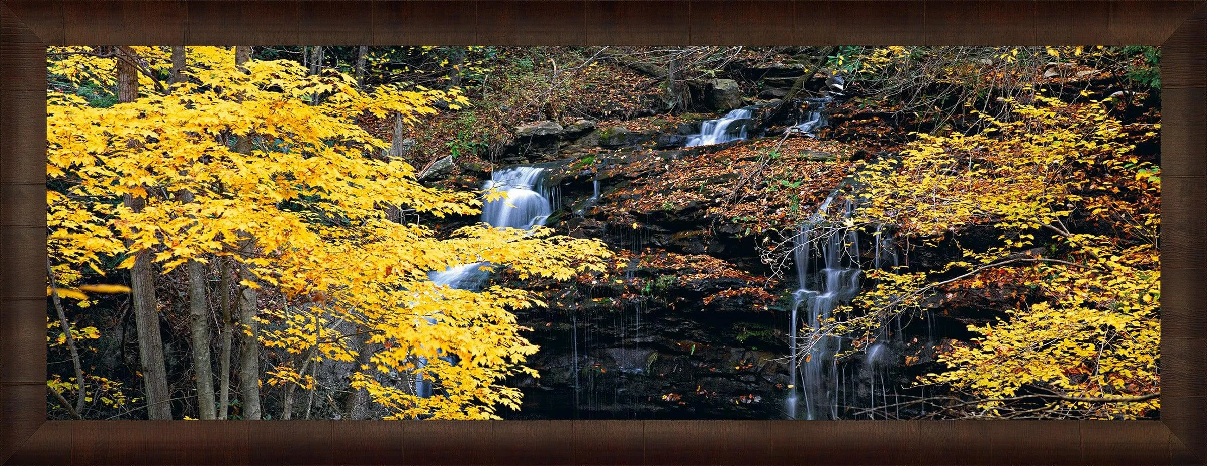 Autumn Terrace