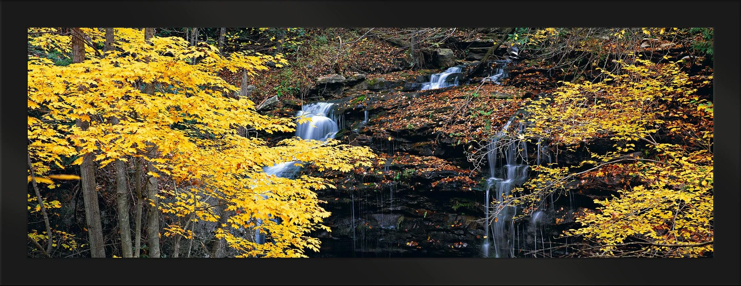 Autumn Terrace