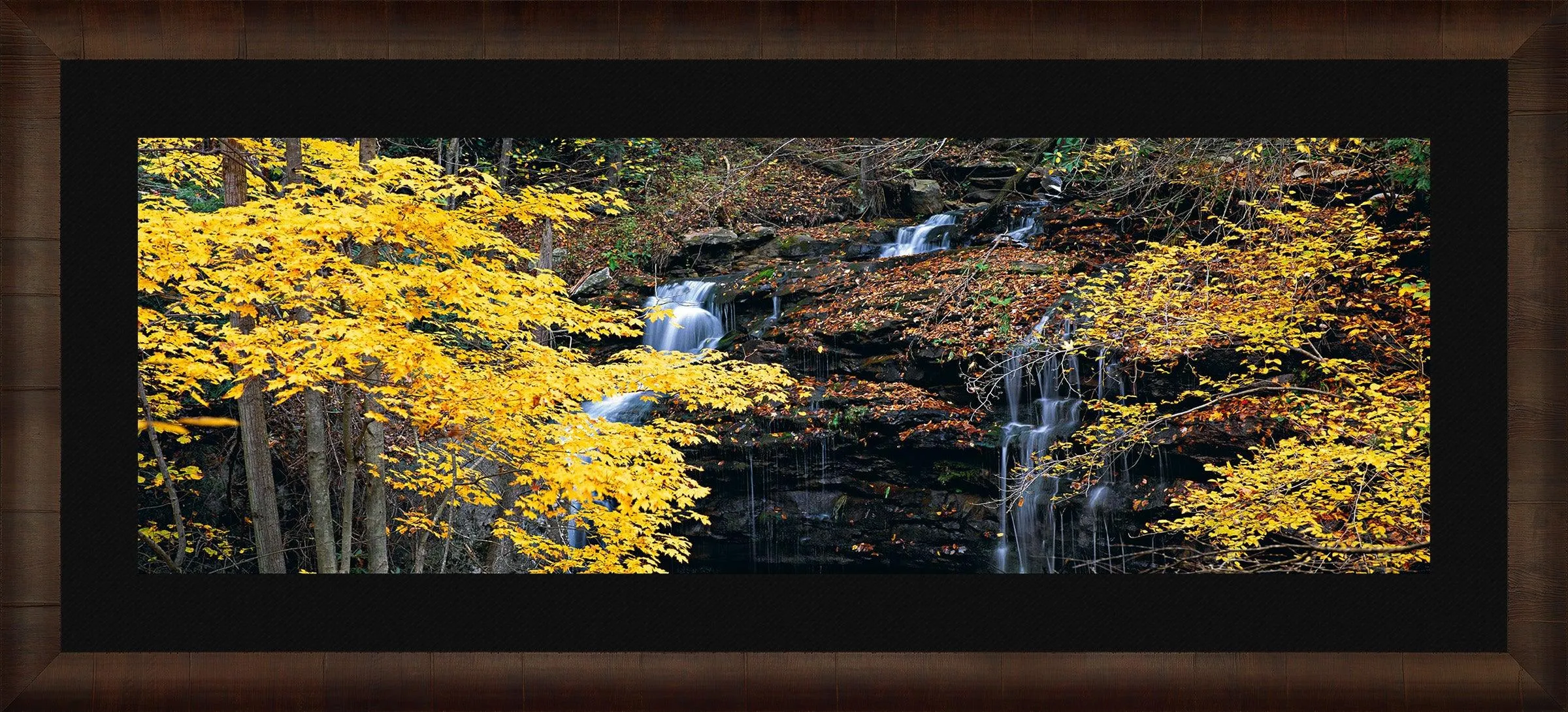 Autumn Terrace