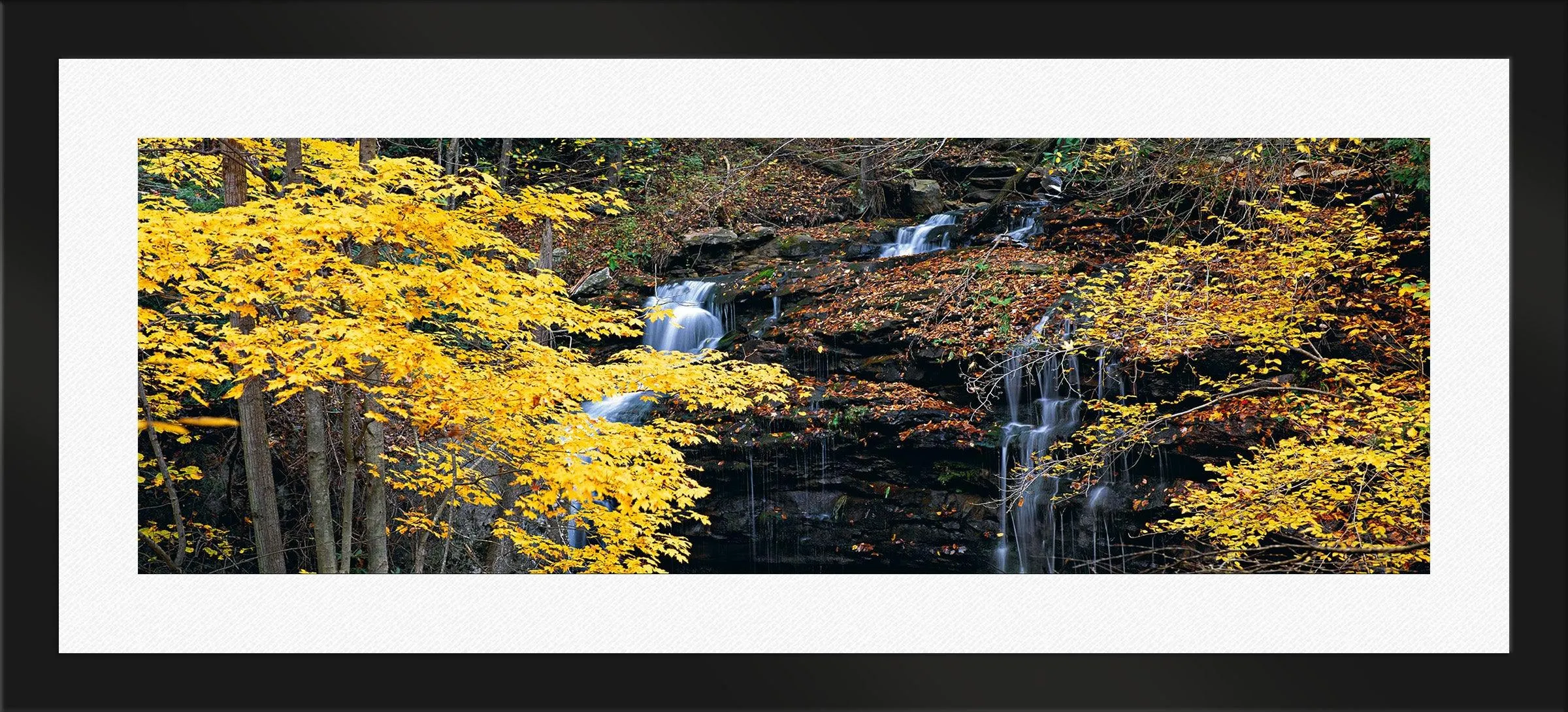 Autumn Terrace