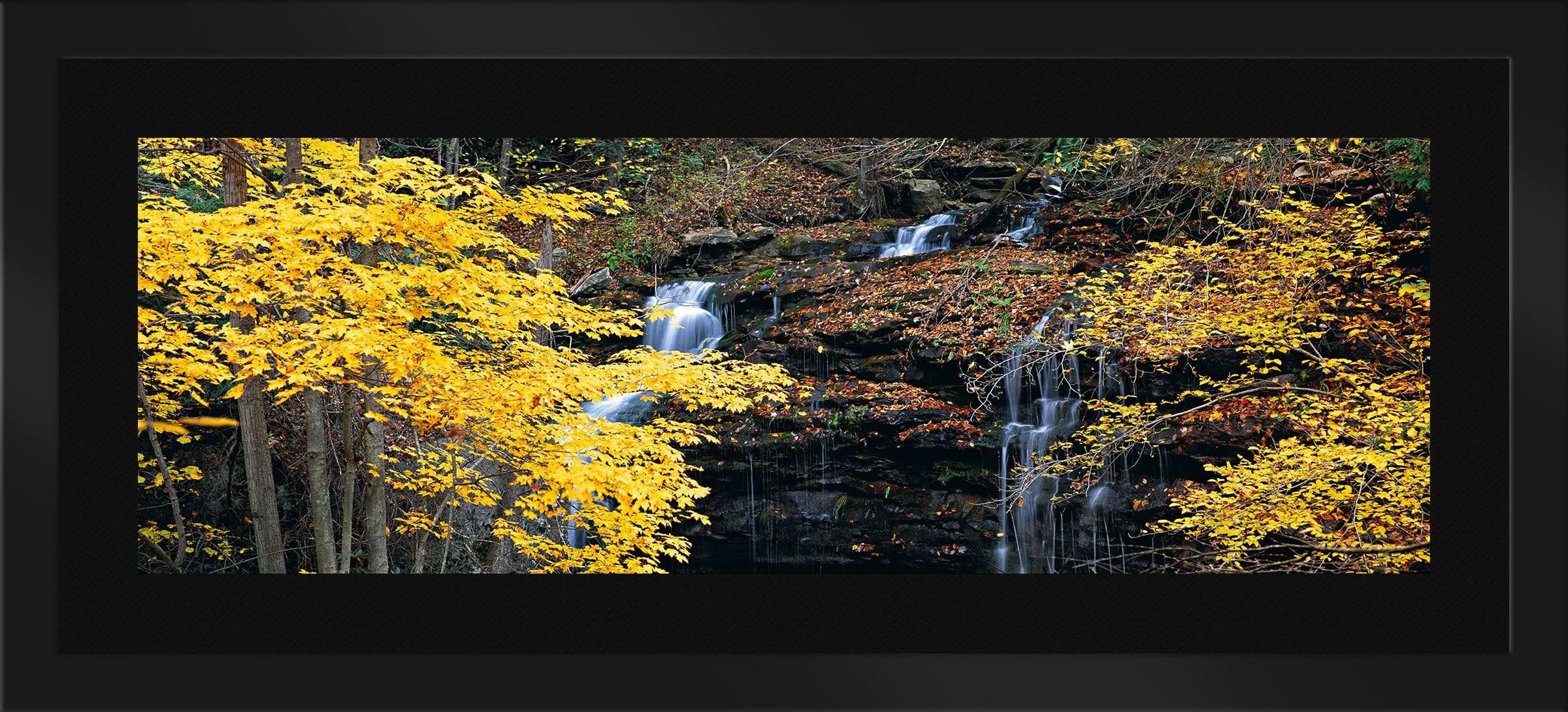 Autumn Terrace