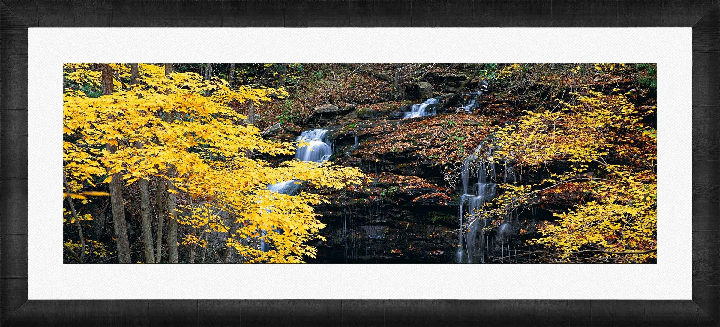 Autumn Terrace
