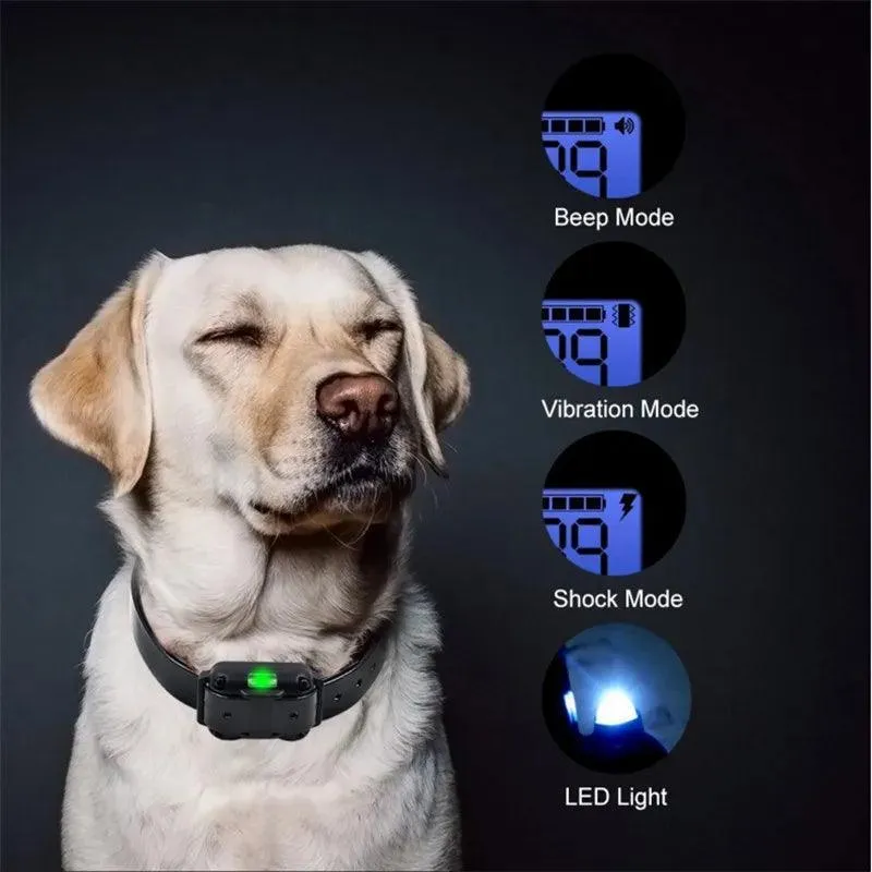 Electric Remote Dog Training Collar: Waterproof Shock Vibration Sound Trainer
