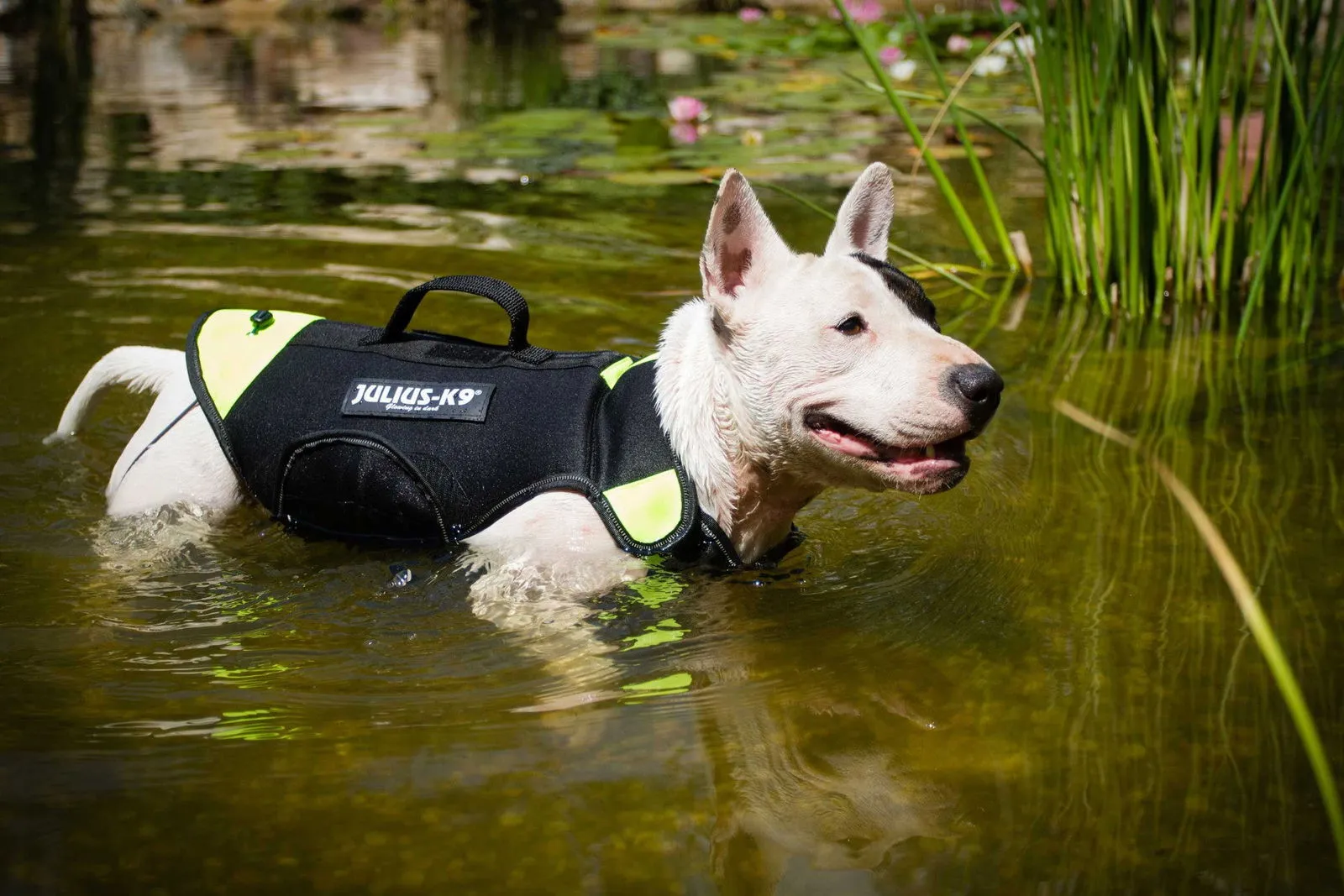 LifeJacket - Multifunctional Dog Vest