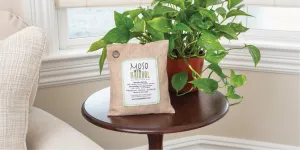 Natural Air Purifying Bags