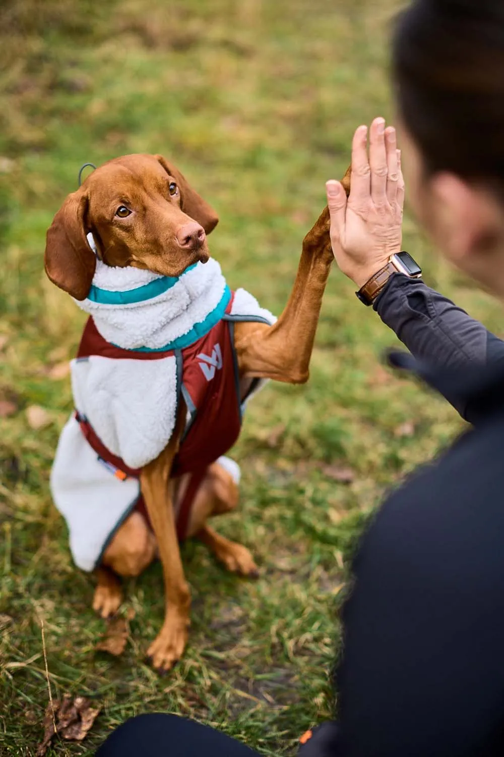 Non-stop Dogwear Trekking Fleece Jacket Grey/Wine/Teal | Buy Non-stop Dogwear Trekking Fleece Jacket Grey/Wine/Teal here | Outnorth