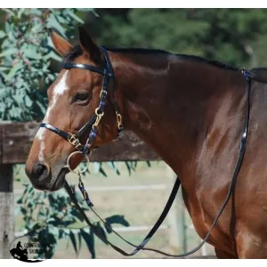 PVC Trekking Bridle