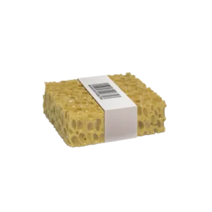 Sponge Box