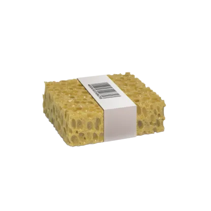 Sponge Box
